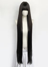 Long Straight Black Cosplay Wig NS561