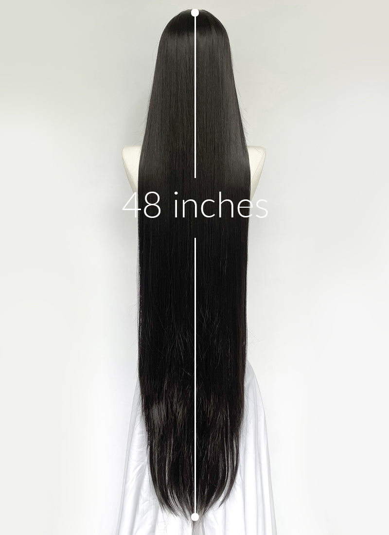 Long Straight Black Cosplay Wig NS561