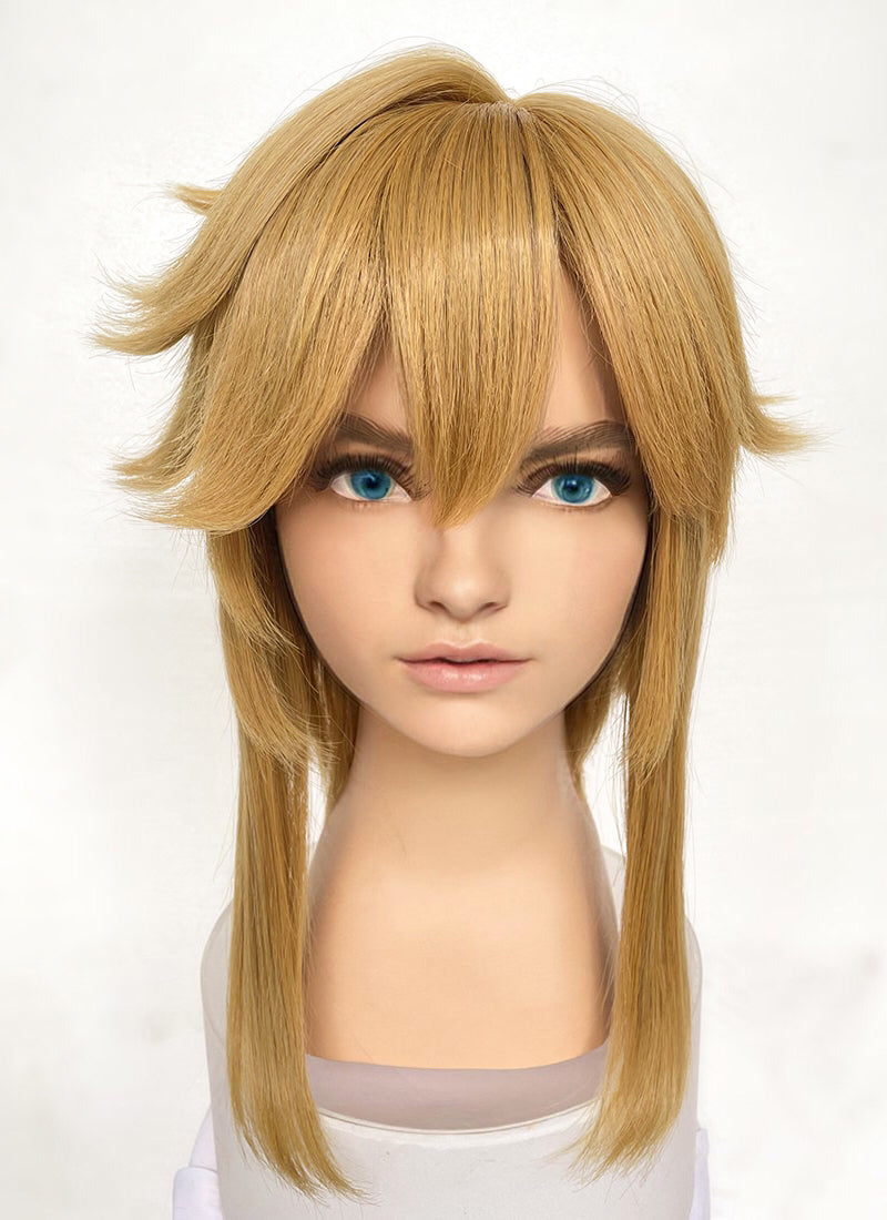 Link sale cosplay wig